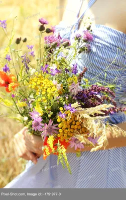 Букет полевых цветов из пряников, Цветы и подарки в Нижнем Новгороде,  купить по цене 2500 RUB, Букеты из конфет в Candy Shop с доставкой | Flowwow