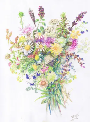 Красивый букет полевых цветов - 69 фото