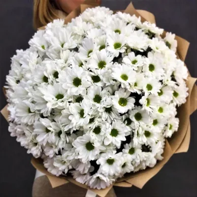 Букет ромашек белых №416 - 🌹 Цветы Новосибирск заказ: