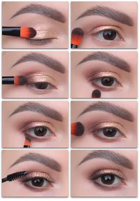 Макияж для начинающих пошагово | Eyeshadow, Everyday makeup, Eye makeup