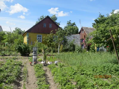 Декоративный огород - красивое решение для небольших пространств