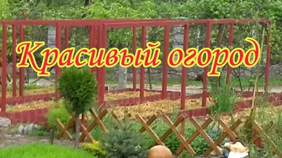 Лайфхаки для дачи и огорода: огород весной, как сделать сад, как сделать  грядки своими руками, газон на даче, идеи для дачи своими руками - 27  апреля 2023 - 