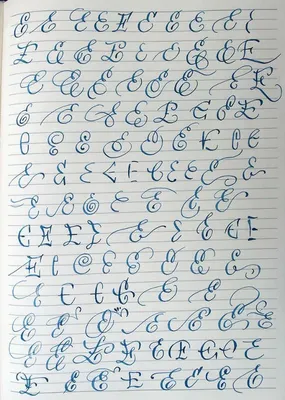 Красивый почерк за 20 уроков» – каллиграфия для детей | Лысенко О. В.