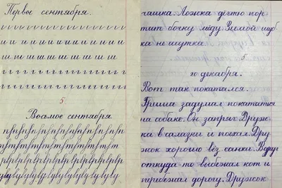 Вырабатываем красивый почерк. 35 уроков. Петренко С. 5081990 купить в «Есть  все»