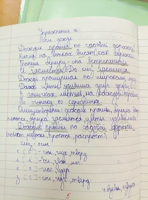 Почему так важно развивать у ребенка красивый почерк | Центр  дополнительного образования SOPHIE MONIQUE | Дзен