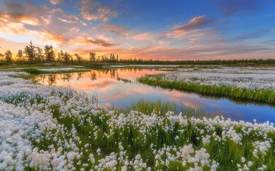 Весенний пейзаж (90 фото) - 90 фото