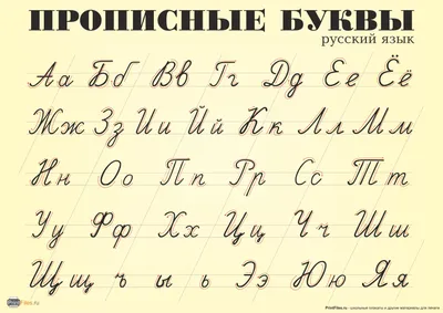 Письмо русского алфавита Вектор Славянский кириллический шрифт Красивые  цветные буквы в растениях и цветах Ботаника и флористия Иллюстрация вектора  - иллюстрации насчитывающей шикарно, конструкция: 157879714