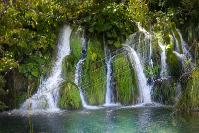 красивые картинки :: красота :: hdr :: тюльпаны :: Природа (красивые фото  природы: моря, озера, леса) :: art (арт) / картинки, гифки, прикольные  комиксы, интересные статьи по теме.