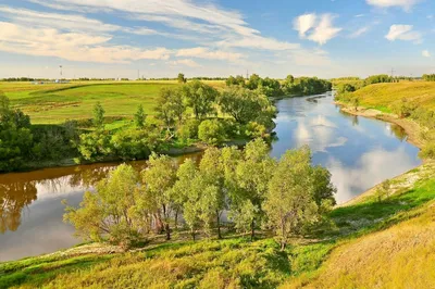 Фотоотчёт «Красота родной природы» (12 фото). Воспитателям детских садов,  школьным учителям и педагогам - Маам.ру