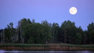 Красота родной природы. | Пикабу