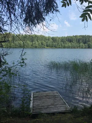 Красота и богатство родной природы в полотнах художника Александра  Зорюкова🖌🌲🌳 Фантастические краски природы ✨ | Instagram