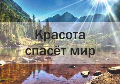 Красота спасёт мир!