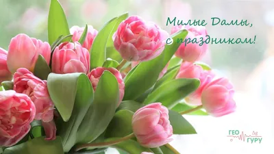 Бесплатное изображение: Весенняя красота, время весны, солнечный, на  открытом воздухе, милая девушка, Белый цветок, платье, дерево, цветок,  природа