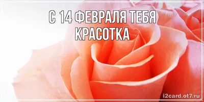 Картинки с надписью ты красотка (45 фото) » Юмор, позитив и много смешных  картинок