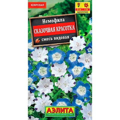 Смех не в помощь: комедия «Красотка в ударе» стала лидером уикенда | Статьи  | Известия