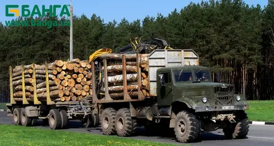 Модели лесовозов и сортиментовозов КрАЗ