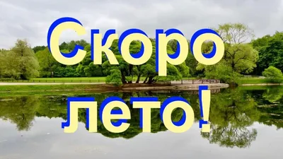 Блокнот «Крепитесь, люди, скоро лето», 10,5х16 см — купить c доставкой в  интернет-магазине Легко-Легко