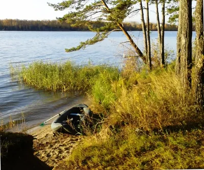 Фестиваль "Крепитесь люди, скоро лето..." » Городской портал Котовска