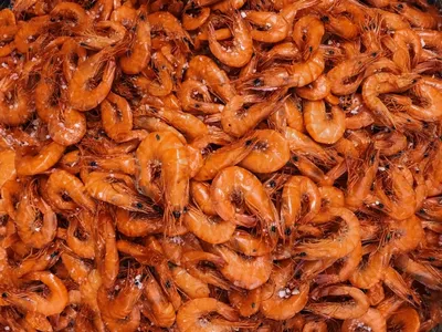 Креветка атлантическая в/м 50-70 Coldwater Prawns of Norway (5 кг) купить  по выгодным ценам в Киеве, заказать Креветки онлайн в интернет магазине  морепродуктов 