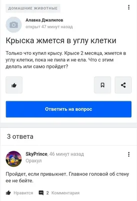 Публикация #588 — Кринжовые вопросы (@cringevoprosy)