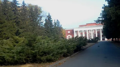 Парк имени Федора Мершавцева, Кривой Рог — фото, описание, карта