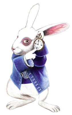 Аниматор Белый кролик из Алисы в стране чудес - заказать на детский  праздник или мероприятие, а так-же на корпоратив Murashka show