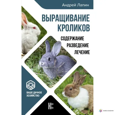 Особенности эвтаназии и кремации кроликов – статьи ритуального агентства  «Кольцо царя Соломона»