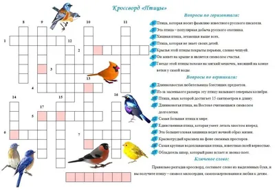 14 летних кроссвордов для детей - Игры, развитие и обучение детей от 7 до  10 лет