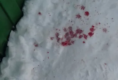 Кровь на снегу (Killing Floor 2) - YouTube