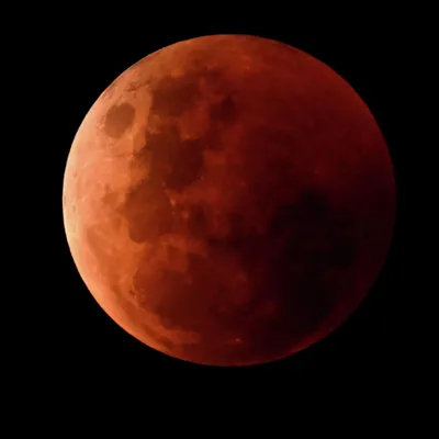 GISMETEO: «Кровавая Луна» 8 ноября: что это, где и во сколько наблюдать -  Наука и космос | Новости погоды.