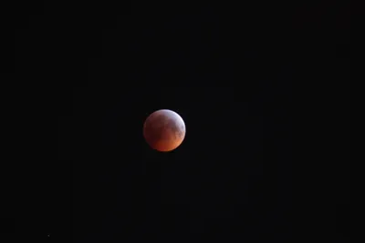 Кровавая Луна»  года — что это и как ее увидеть - 