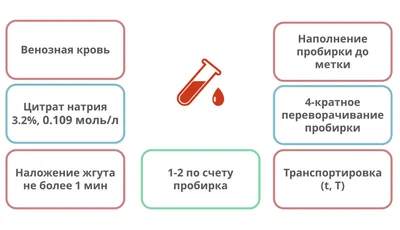 Эритроциты в крови - уровень нормы, причины пониженного и повышенного  уровня эритроцитов в крови