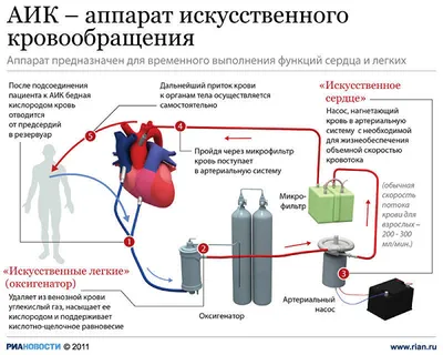 Презентация по теме "КРОВООБРАЩЕНИЕ"