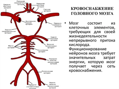 Почему кровообращение может ухудшиться, как его улучшить