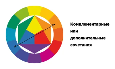 Цветовой круг Иттена: как им пользоваться и можно ли нарушать правила —  читать в интернет-издании Synergy Times