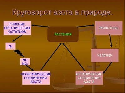 6 На основании пройденного материала опишите круговороты калия, азота и  фосфора в природе. Как в этих круговоротах участвуют удобрения? Какими  свойствами должны обладать удобрения, чтобы не вызывать загрязнения  водоемов, морей и океанов?