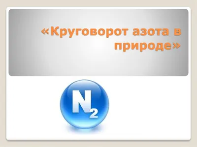 Микробиология - Круговорот азота в природе