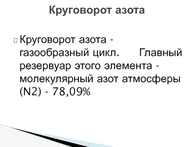 Презентация "Круговорот азота в природе" по биологии – проект, доклад. «Круговорот  азота в природе Что мы узнали