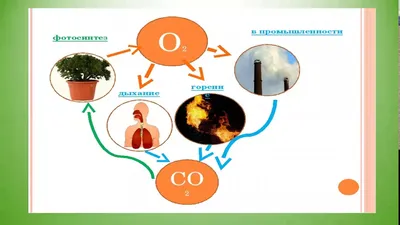 Круговорот кислорода в природе - презентация онлайн