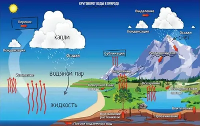 Круговорот воды в природе картинки - 66 фото