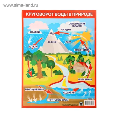 Плакат "Круговорот воды в природе" А2 (1258742) - Купить по цене от   руб. | Интернет магазин 