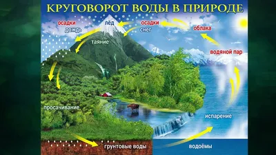 Круговорот воды в природе - типы, классификация и значение