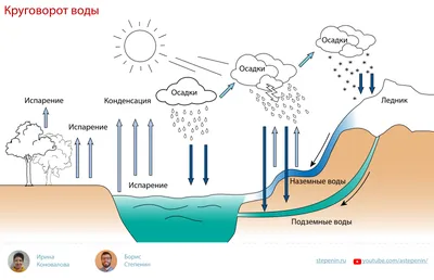 Круговорот воды в природе. | Quizizz