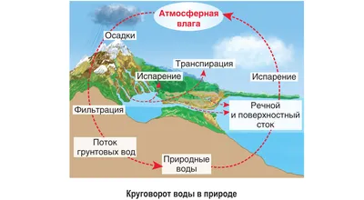 3D Модель Круговорот воды в природе