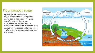 схематично изобразите круговорот воды в природе.Пожалуйста. - Школьные  Знания.com