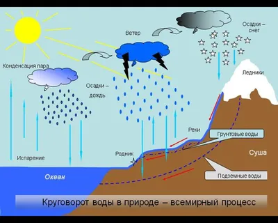 Круговорот воды рисунок для детей в природе - 60 фото