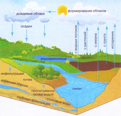 Картинки круговорот воды в природе детская (68 фото) » Картинки и статусы  про окружающий мир вокруг