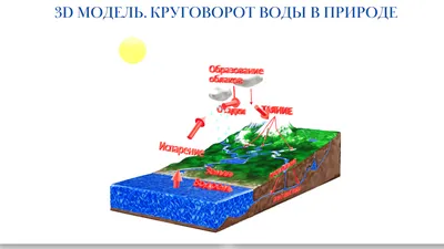 Круговорот воды в природе: интересные факты