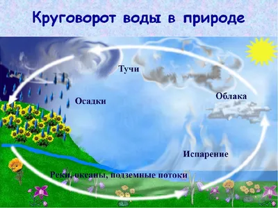Круговорот воды, The Water Cycle, Russian | U.S. Geological Survey