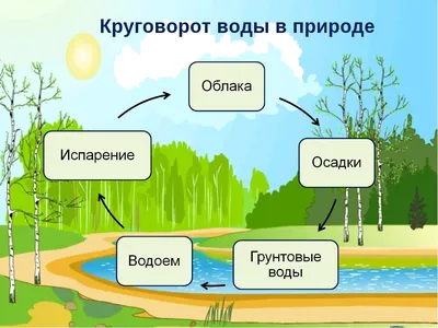 3D Модель Круговорот воды в природе